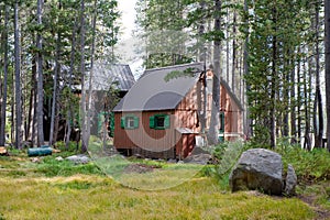 Wooden lodges in forest