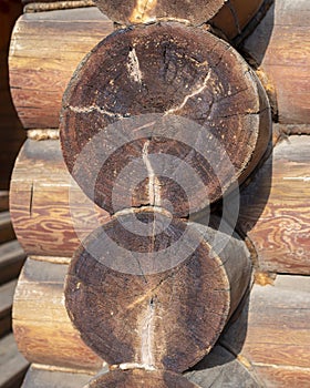 Wooden log background. Round cylindrical logs in wall as structure and material for ecological cottage construction of