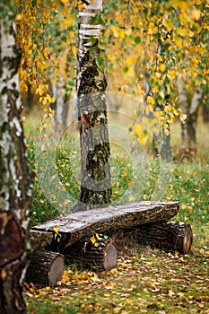 Wooden log bench in autumn forest