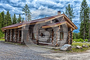 A wooden log cabin in pine forest