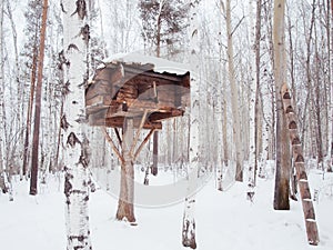 Wooden log house on a tree