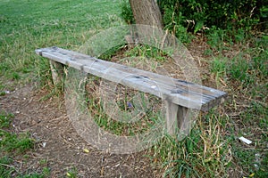 Wooden old log perched photo