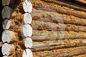 Wooden log wall.