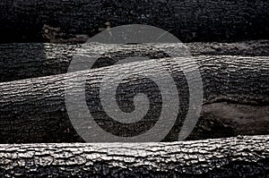 Wooden log on winter morning