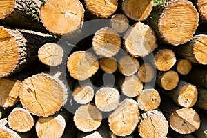 Wooden logs.