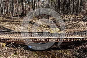 Wooden logs bridge with yellow leaves over the creek in spring in pines and birches forest