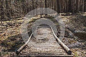 Wooden logs bridge with yellow leaves over the creek in spring in pines and birches forest