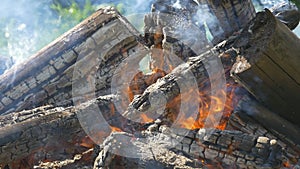 Wooden logs burning at fire with smoke. Closeup view of campfire at daylight