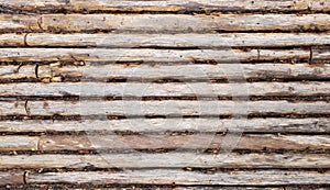 Wooden logs lie horizontally on the ground in one row, side view or frome above. Perspective view of peeled logs