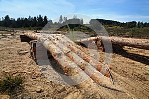 Wooden logs like obstacle for test drive
