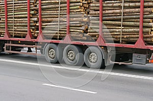 Wooden Logs on Logging Truck Trailer