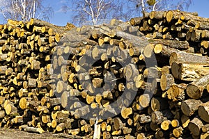 wooden logs on the open air