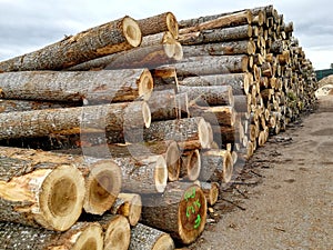 Wooden logs