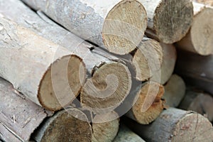 Wooden logs stack, tree stumps background