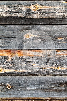 Wooden logs wall of old rural house