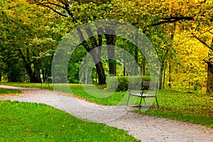 Wooden lonely bench near the footpath in the old park area in early autumn