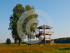 Wooden lookout tower