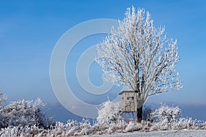 Wooden lookout tower for hunting in winter landscape with frozen trees and blue sky