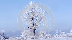 Wooden lookout tower for hunting in winter landscape with frozen trees and blue sky