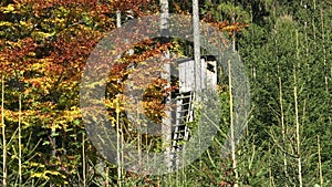 Wooden lookout tower for hunting in the woods.