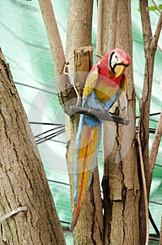 Wooden macaw or parrot birds on tree