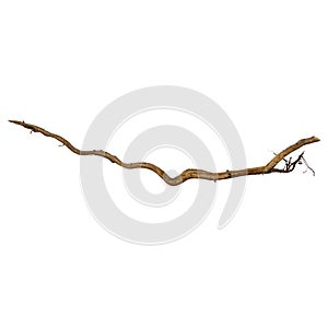 Wooden magic wand in the shape of a branch