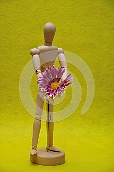 A wooden mannequin display with a pink aster