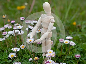 Wooden mannequin between flowers on springtime Ecology and garden concept