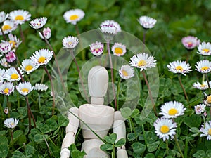 Wooden mannequin between flowers on springtime Ecology and garden concept