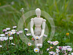 Wooden mannequin between flowers on springtime Ecology and garden concept