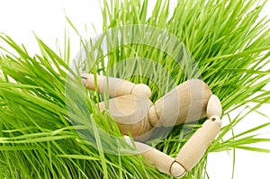 A wooden mannequin on green grass