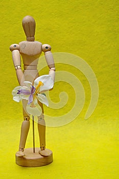A wooden mannequin with a white African iris