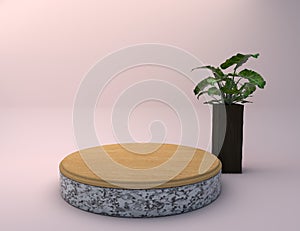 wooden marble product stand with plant