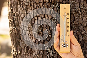 Wooden mercury thermometer measures extremely high temperature in a human hand against a tree on a sunny day