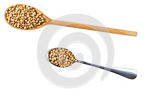 wooden and metal spoon with soybeans isolated on white background top view