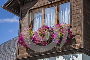 The wooden mezzanine of an old farm mountain house with colorfull flowers in Austria