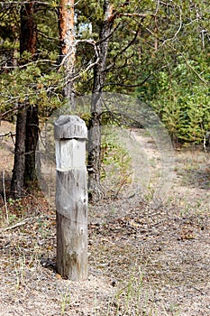 wooden milepost in the forest on the minor ride