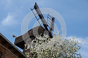 Wooden Mill on blue sky background. Old Windmill at dawn. Windmill farm. Rural landscape village on the hill in Trzew