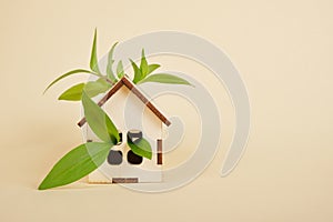 Wooden model of a house on a beige background, eco house concept, green leaves and a small toy house