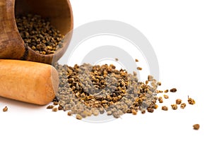 Wooden mortar and pestle with flos chrysanthemi indic on white background