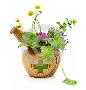 Wooden mortar with pharmacy cross and fresh herbs