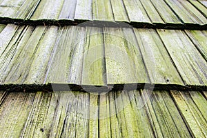 Wooden mossy shingle background