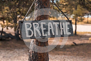 A wooden motivating tablet on an old pine tree in an autumn park says â€œBreathe