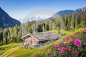 De madera montana cabana en Alpes, 