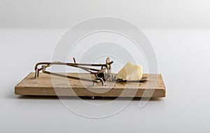 Wooden mouse trap with cheese bait, light background