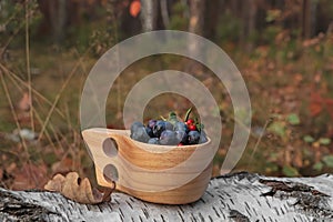 Wooden mug full of fresh ripe blueberries and lingonberries on log in forest