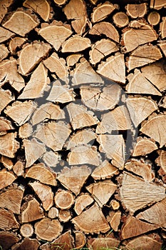 Wooden natural cut logs textured background, side view