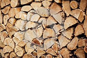 Wooden natural cut logs textured background, side view