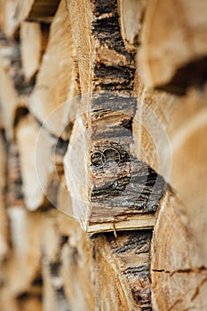 Wooden natural cut logs textured background with wedding rings, side view