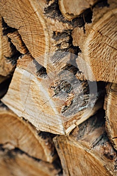 Wooden natural cut logs textured background with wedding rings, side view